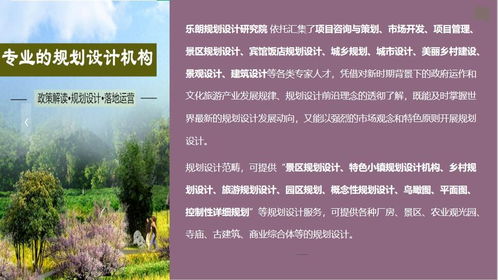 山南地區旅游開發項目策劃咨詢專項資金管理實施細則